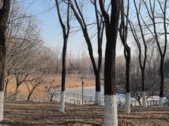 -大兴滨河森林公园