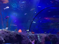 -沈阳海洋探索中心