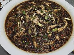 来凤鱼-瓦房兔(璧山店)