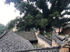 -杨家堂村
