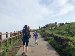 -涉地可支