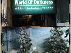 -新加坡飞禽公园