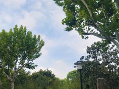 -黄兴公园