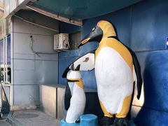 -太平洋海底世界