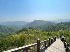 -大岭沟猕猴桃谷风景区