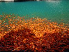 -楠溪江风景名胜区