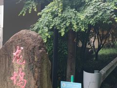 -龙坞茶村