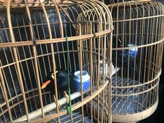 -到家尝北京菜(西坝河店)