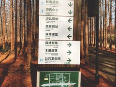 景点-黄海国家森林公园