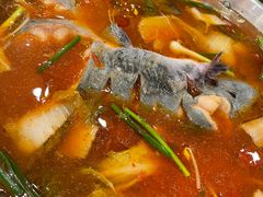 -新凯里酸汤鱼(飞山街店)