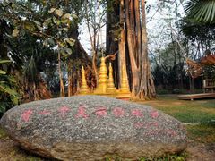 -瑞丽独树成林风景区