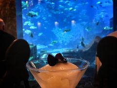 -迪拜帆船酒店海底餐厅