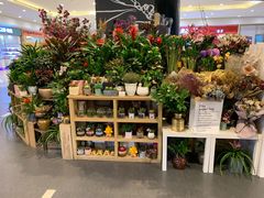 -Olé精品超市(南宁万象城店)