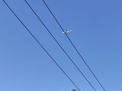 -嘉北郊野公园