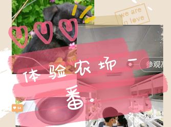 这些天，天气晴朗又凉快，一直待在家里的宝宝