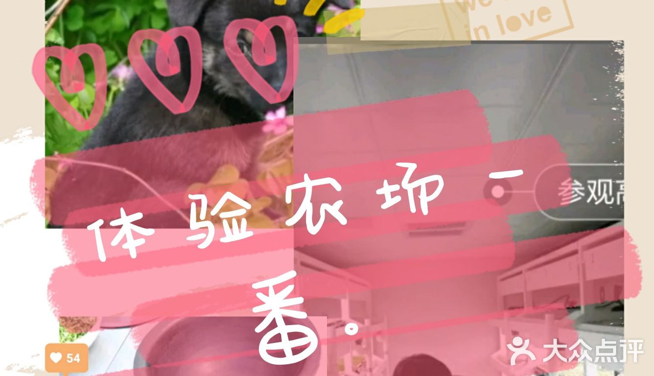 来体验农场一番。