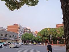 -老盛兴汤包馆(华灵店)