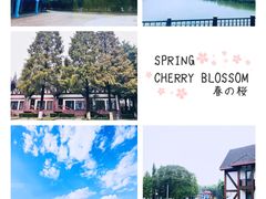 -太阳岛度假酒店