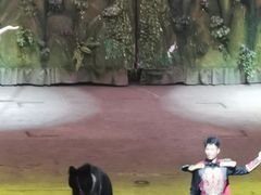 -灵玲国际马戏城