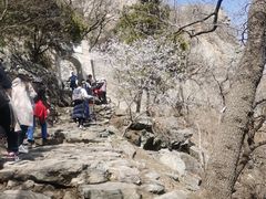 -北京鹫峰国家森林公园