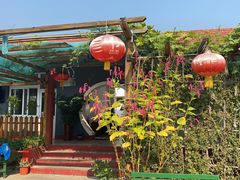 -遇见小院—虹鳟鱼•农家菜(怀柔店)