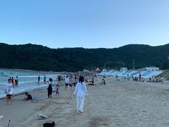 -西涌国际滨海旅游区