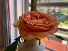 -雕刻时光咖啡馆(北师大店)