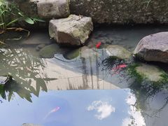 -中国湿地博物馆