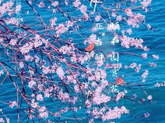 -颐和园