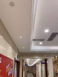 -碧莲盛·不剃发植发