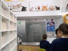 -爱侣宠医·鹦鹉专科·小型哺乳类·异宠专科(灵石路店)