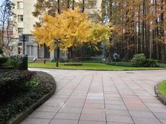 -上海虹桥迎宾馆