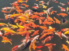 -昆嵛山石门里景区