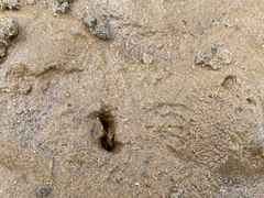 -东戴河风景区-止锚湾