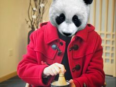 -听雨小筑茶舍(观音桥·龙湖新壹街店)