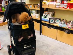 -小尾巴宠物店(万科·金域华庭店)