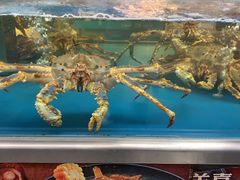 -盒马鲜生(大成店)