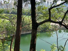 -王借岗森林公园