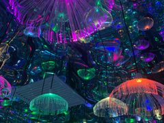 -天津梵高星空艺术馆(天河城旗舰店)