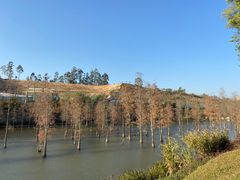 -碧桂园润杨溪谷温泉酒店