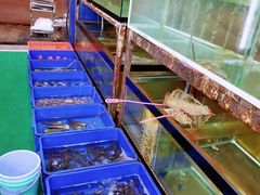 大堂-QQ海鲜餐厅