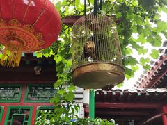 -顺承小院儿
