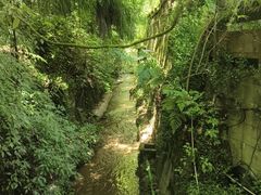 -青城山