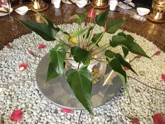 -慢丽江·云南野生菌土鸡锅(西山店)