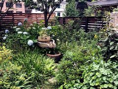 -东天目山风景区