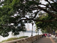 -珠江夜游省总码头