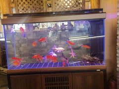 -来小酌·长安酒家(翠庭大厦店)