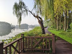 -上海市保健医疗中心