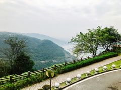 -铁山坪森林公园