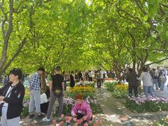 -石家庄市植物园